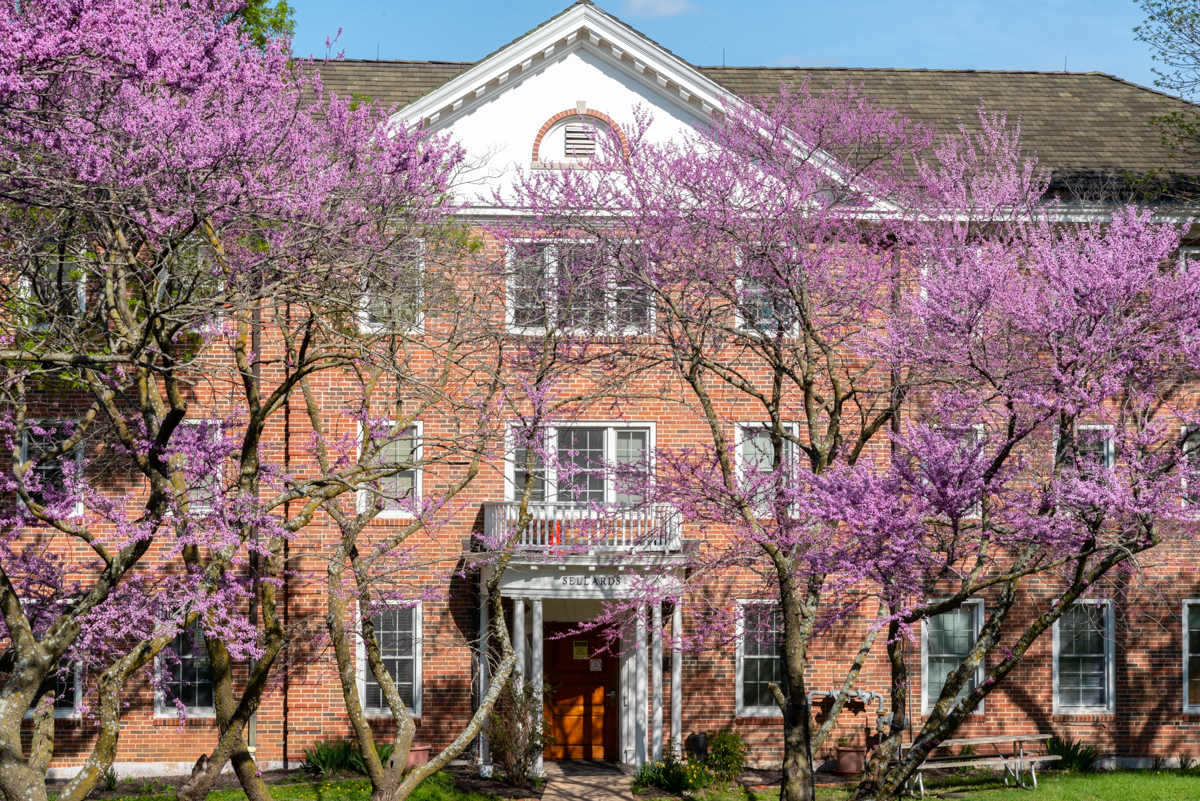 exterior view of Sellards Hall