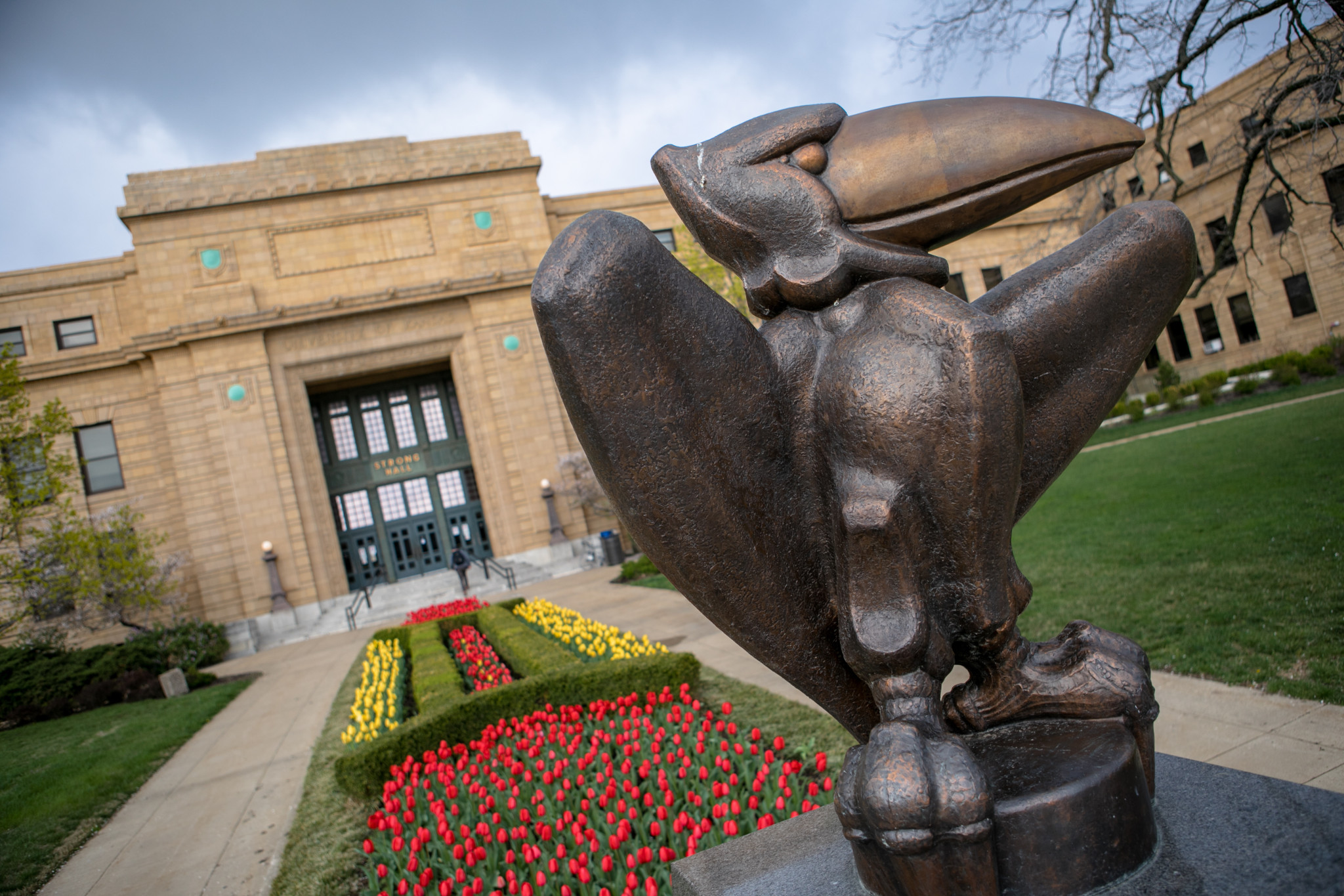 jayhawk statue in front of Strong Hall, home of the University Academic Support Centers main office